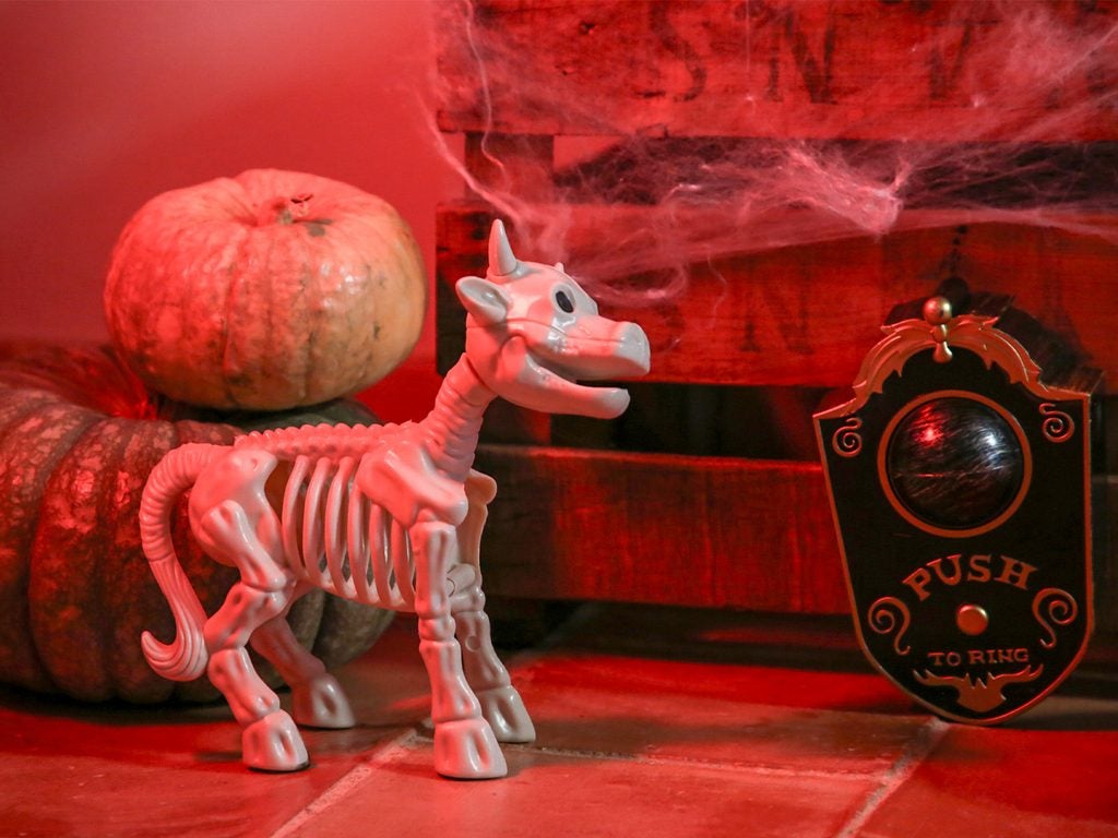 Esqueleto decorativo de vaca junto a calabaza de Halloween