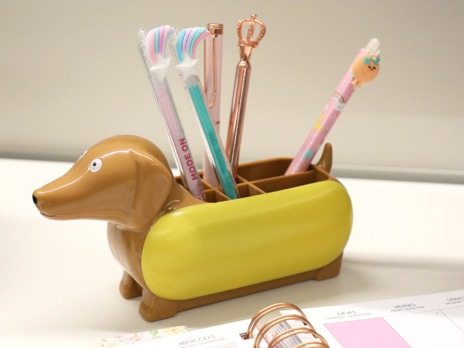 Colección perro salchicha