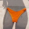 Bikini bottoms