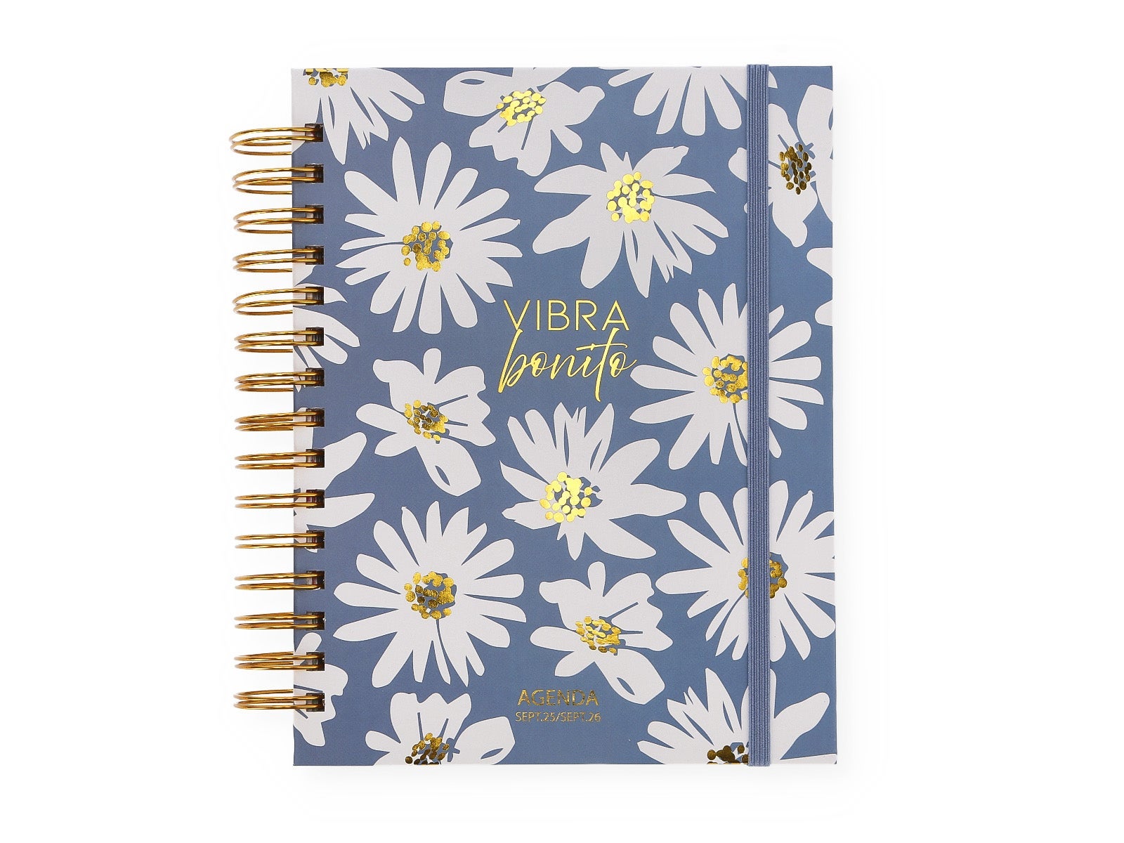 School diaries with rings