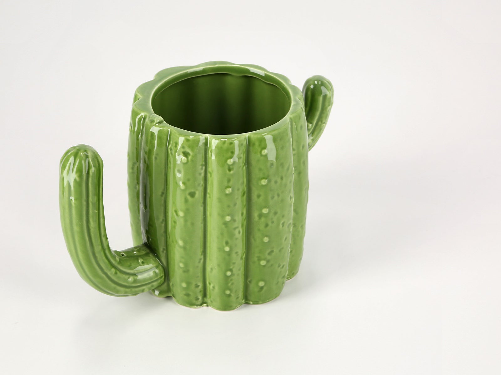 Fun mug cactus