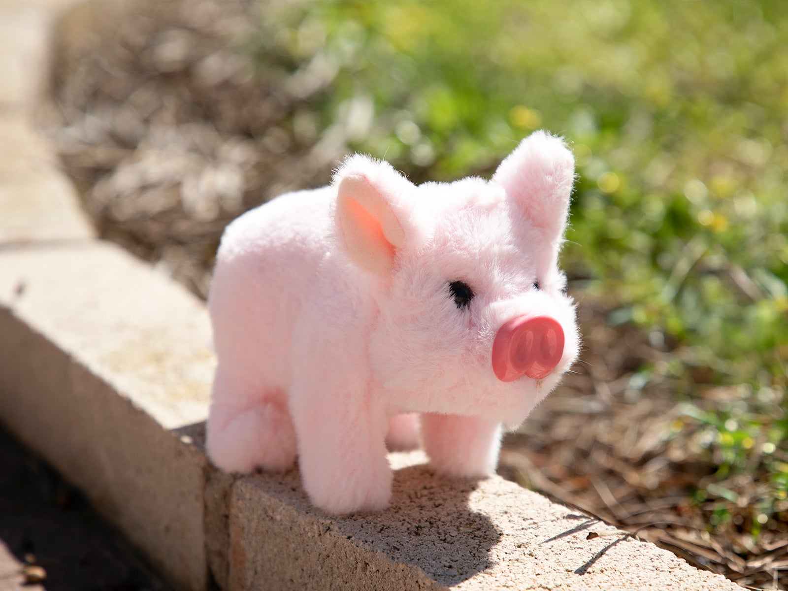 Interactive Piglet | Ale-Hop