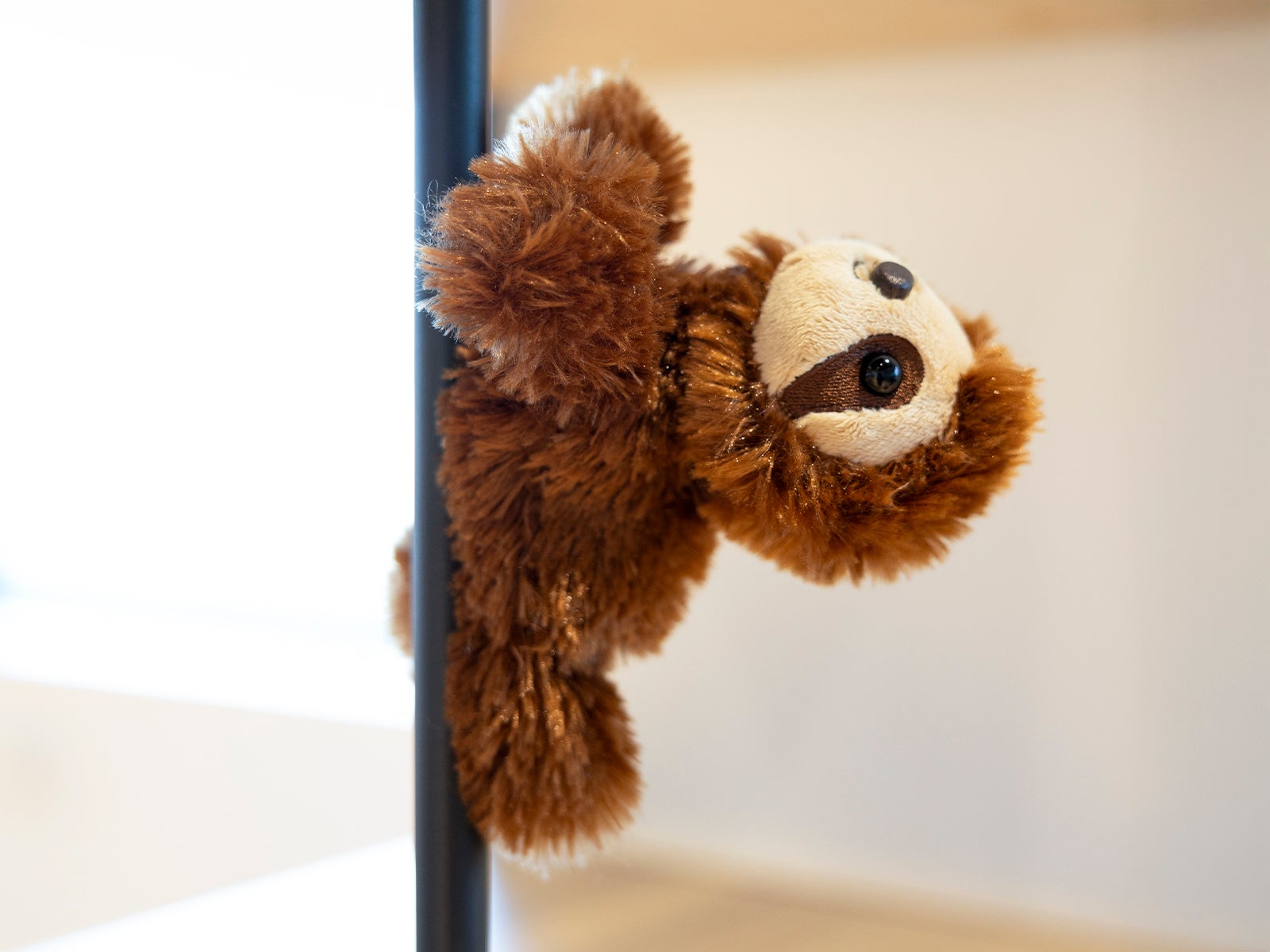 Peluche de ombro - Preguiça