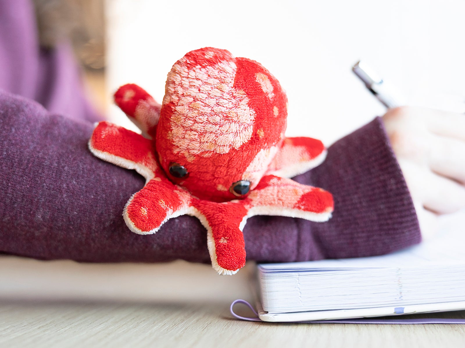 Peluche de ombro - Polvo