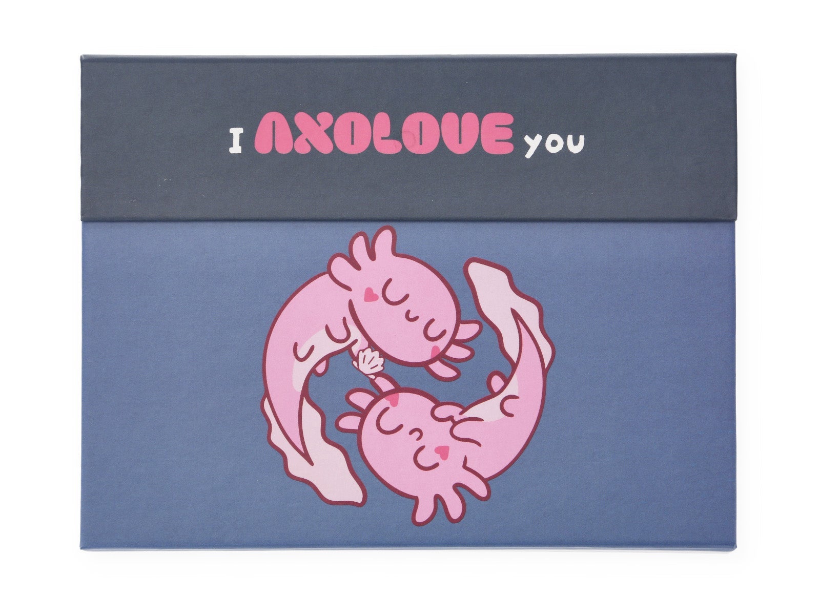 Planner com notas - I axolove you