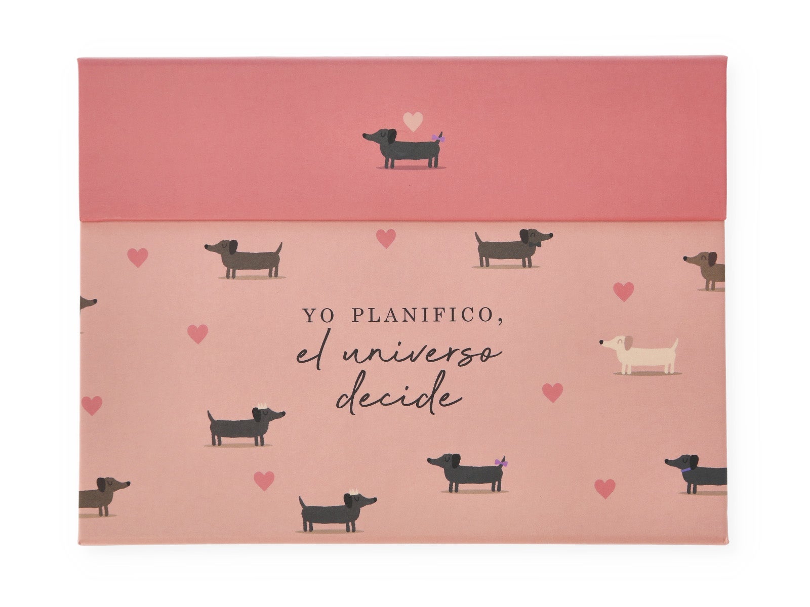 Planner com notas - Yo planifico, el universo decide