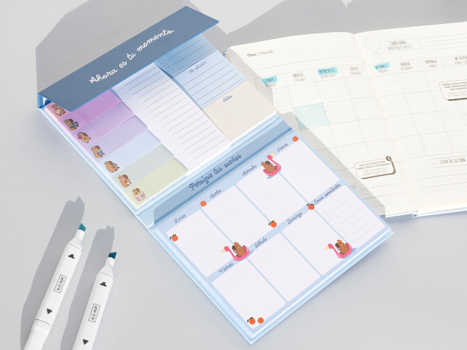 Planner con note adesive - Ahora es tu momento