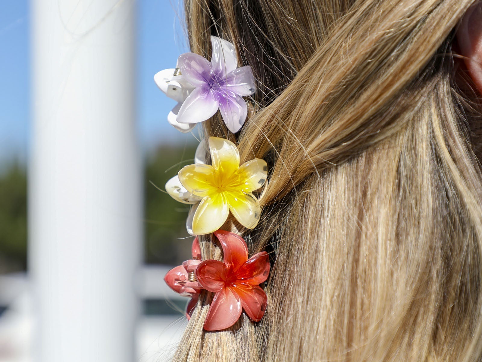 Pack pinzas flores tropicales