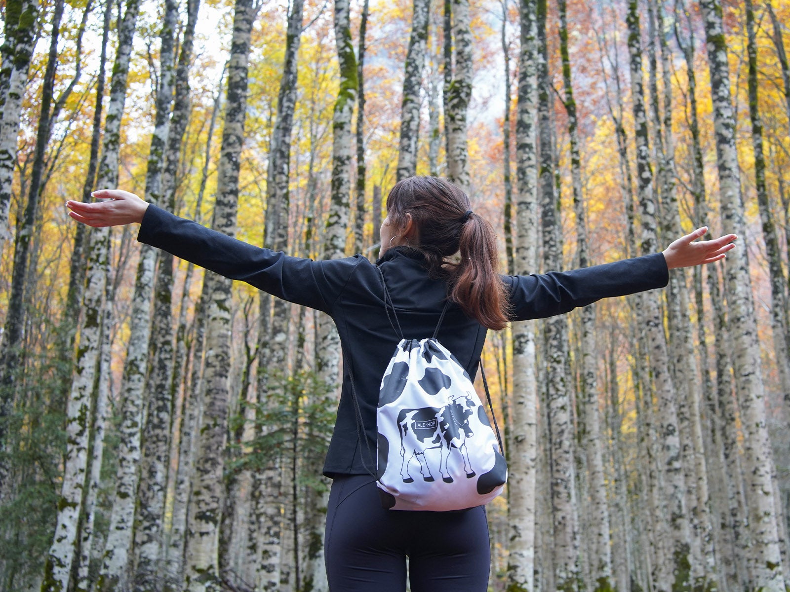 Backpack cow