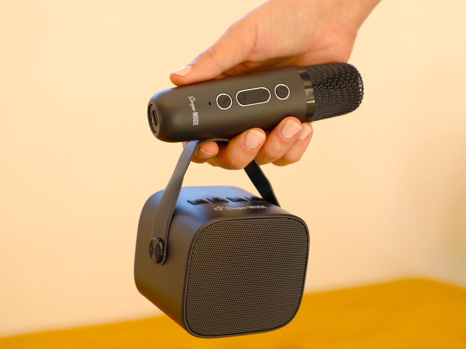 Micro mic and speaker 2025