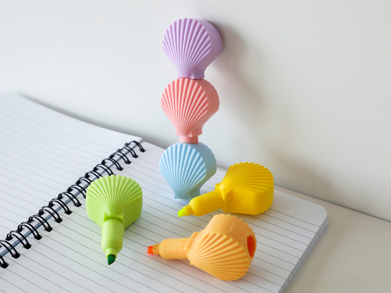 Marcadores 6 cores concha